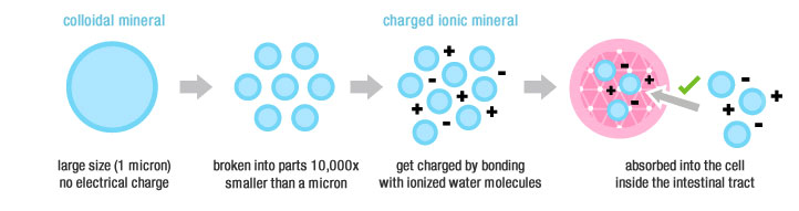 Ionic_Minerals